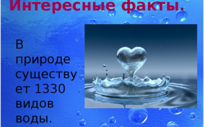 08.ЧАЙ — ЦЕЛИТЕЛЬ