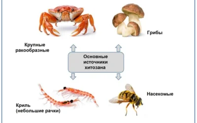 34. ЦЕЛИТЕЛЬНЫЕ СВОЙСТВА ЭЛЕМЕНТА.