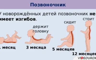 41. УКРЕПЛЕНИЕ КОСТЕЙ И ЗУБОВ